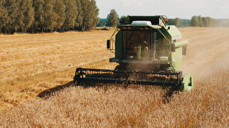 Warsaw, Poland 10.08.2020 - A combine harvester in the golden wheat field. Farmer driving the...