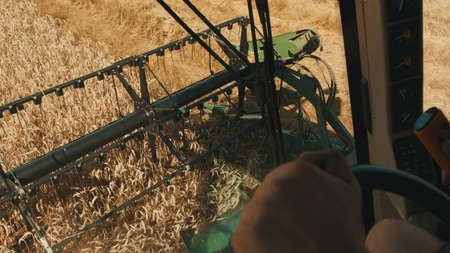 Closeup of hands of male farmer handling the steering wheel of the combine harvester. The Cutter bar of the harvester threshes the ripe wheat ears in an agricultural field during the daytime.の写真素材