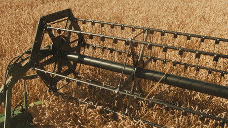 Rotary straw walker of a combine harvester cutting and threshing ripe ears of wheat. Cutter bar reaping wheat crops. Gathering crops by agricultural machinery on the field during the daytime.の写真素材