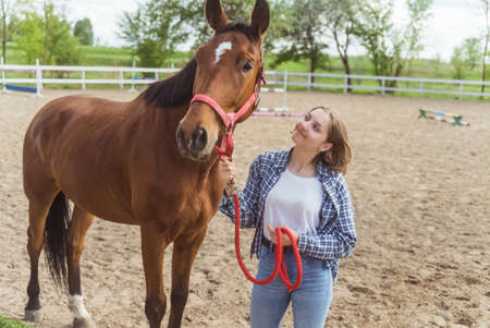 Young girl with her Bay horse standing in the stable. Girl holding horse lead rope looking at it with love. Posing for the camera. Sandy arena with wooden fence in the background.の写真素材