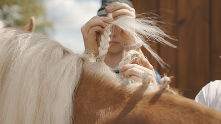 Close-up view of girls hands braiding blonde mane of a Palomino horse. Beautiful light brown horse mane being done in a braid. Sunlight hitting the horse coat. Preparing the horse for the competition.の写真素材