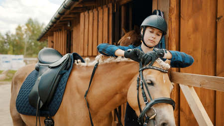 Female jockey fixing bridle of her light brown horse outside the stable.The girl wearing a safety helmet and gloves. Preparing her horse for the horse riding competition.の写真素材