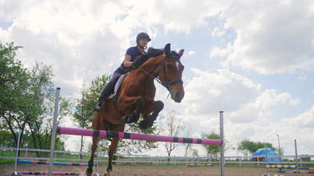 the jockey jumps over the obstacle on the horse. High-quality photo