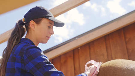 a young girl under a cloud brushes a brown horse. High-quality photoの写真素材