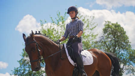 a young girl is sitting on a brown horse in nature near a tree. High-quality photo