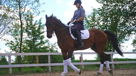 a young girl gallops a brown horse on an upright ranch. High-quality photoの写真素材