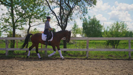 a young girl sits on a saddle of a horse with a helmet on her head and rides it. High-quality photoの写真素材