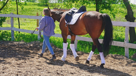 a young girl with a bridle in her hand walks a horse under a tree canopy. High-quality photoの写真素材