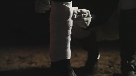 an unknown person squatting on the ground bandages the leg of a horse in gloves. High-quality photoの写真素材