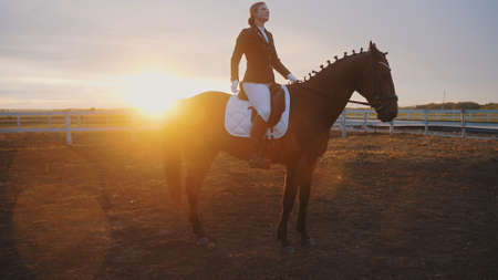 a young beautiful woman is sitting on a horse, and behind her is the sunset. High-quality photoの写真素材