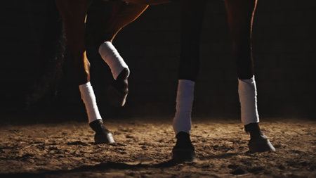 brown horse on the ground under artificial light where the focus is on all four legs of which the last is raised. High-quality photoの写真素材