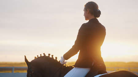 a young woman is standing with a horse next to a wooden fence at sunset. High-quality photo