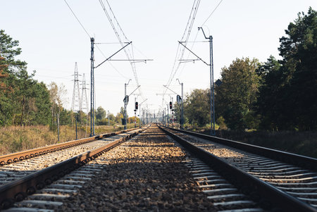 railways in middle of the forest. High quality photoの写真素材