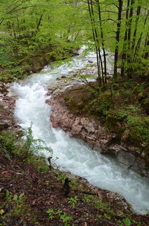 Landscape with forest, river and stonesの写真素材