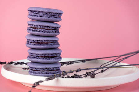 Macaroons are delicious french cookies. Purple macaroons on a white plate with lavender. A great idea for gift or present.の写真素材