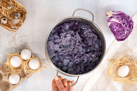 Natural coloring Easter eggs in blue color with red cabbage leaves.の写真素材