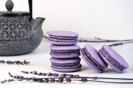 Macaroons are delicious french cookies. Purple macaroons. A great gift idea for 8 March - International Womens Day.の写真素材