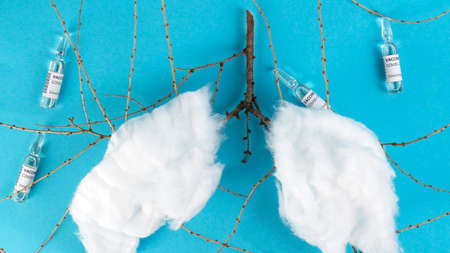 Covid vaccination concept. Coronavirus Covid-19 vaccine vials and cotton shaped like lungs. Blue medical background.の写真素材
