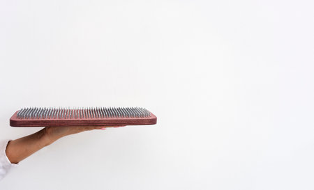 Yogi womans hand holds a wooden sadhu board with sharp nails. Alternative medicine. Copy space.の写真素材