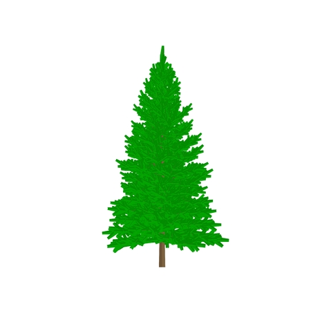 pine tree cartoon shaded isolated in white backgroundの写真素材