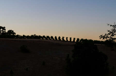 Beautiful sky  as the sun sets over a Sonoma County CA winery.の写真素材