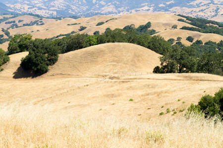 Pepperwood Preserve is a 3117 acre conservation area and nature preserve.の写真素材