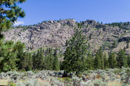 This arid landscape offers a surprising variety of plants,bushes trees and flowers and varying terrain.の写真素材