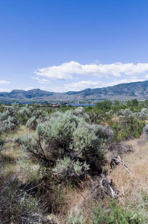 This arid landscape offers a surprising variety of plants,bushes trees and flowers and varying terrain.の写真素材