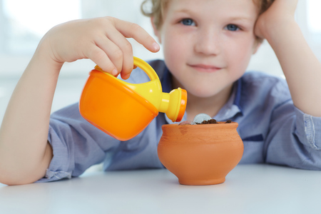 Little boy watering pot with coins. Early economic education.の写真素材