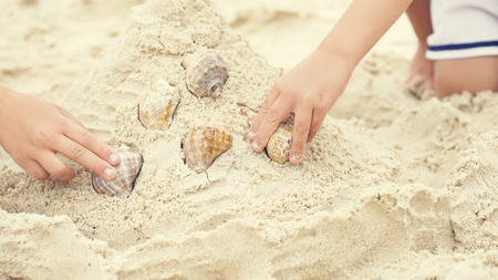 Little kids hands lays out collection sea shell on the beach sand.の写真素材