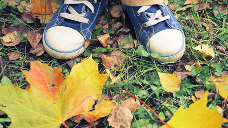 Top view of childs hiking shoe stepping on leaves, for themes of autumn, recreation, exploration.の写真素材