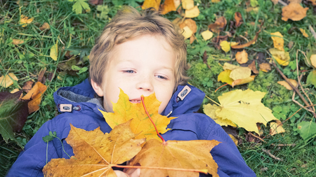 Little kid boy lying in autumn leaves in blue jacket. Happy child having fun in autumn park on warm day. Cute school boy smiling and laughing.の写真素材