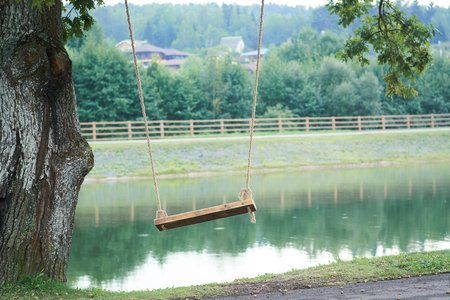 Wooden swing on a rope mount mounted on a tree on the shore of the lake.の写真素材