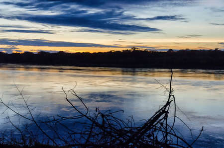 The Amazon