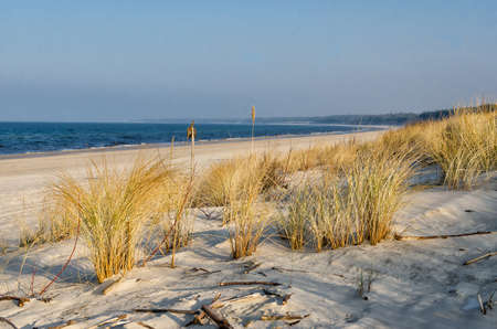 Dunes at the beach