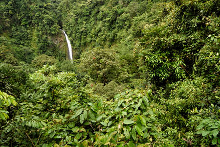 waterfall in the jungle