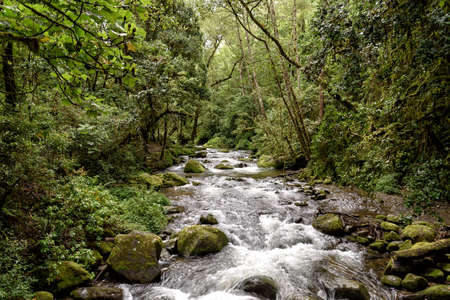 wild river with rapids in the mountains in Costa Ricaの写真素材