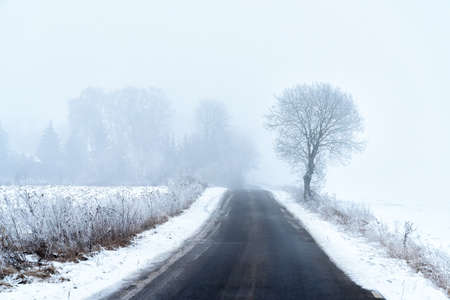 snowy alley in Masuria in eastern Poland in Winter