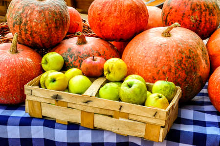 pumpkins and apples on a market in Spreewald, Germany, in autumnの写真素材