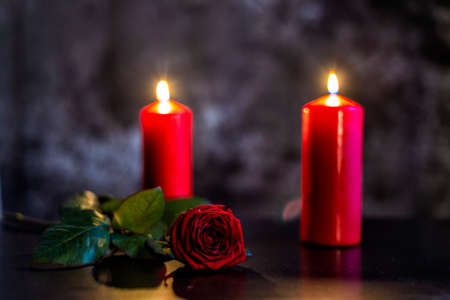 rose with a red bloom and candles on Valentine's day