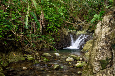 waterfall in the jungle in Costa Rica in central america