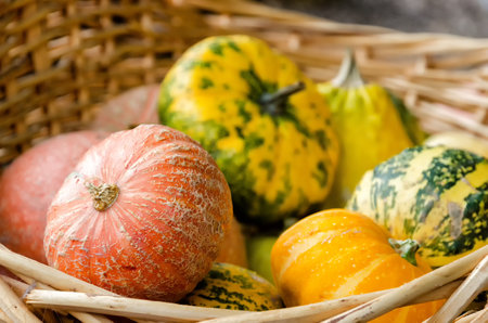 Pumpkins on a market in Spreewalの写真素材
