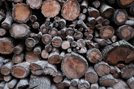 Woodpile of chopped firewood ready for winter, Thailand.