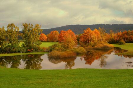 Autumn colored trees with reflection in water.の写真素材