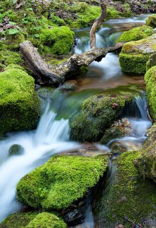 Water flowing over rocks covered with moss in small stream.の写真素材