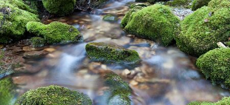 Water flowing over rocks covered with moss in small stream.