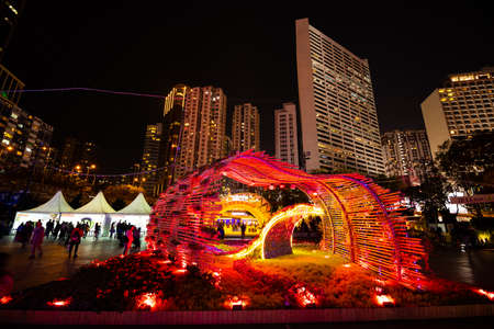 Hong Kong Flower Show 2018 night viewv