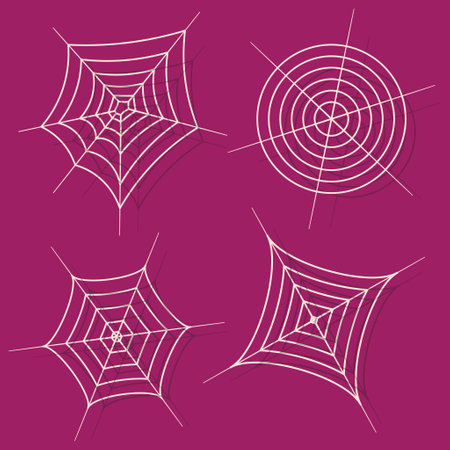 Flat illustration vector of spider web elementsのイラスト素材