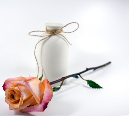 bottle of cream and rose on a white background with copy spaceの写真素材