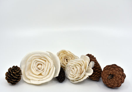 pine cones, background, rose, roses, cones, nature, backdrop, white roseの写真素材